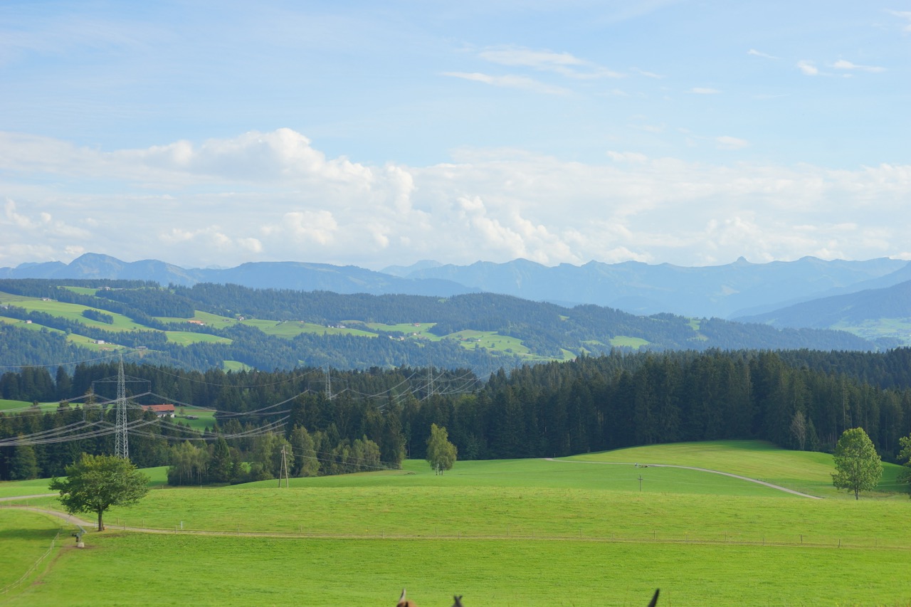 Groß (Aussicht Scheidegg)