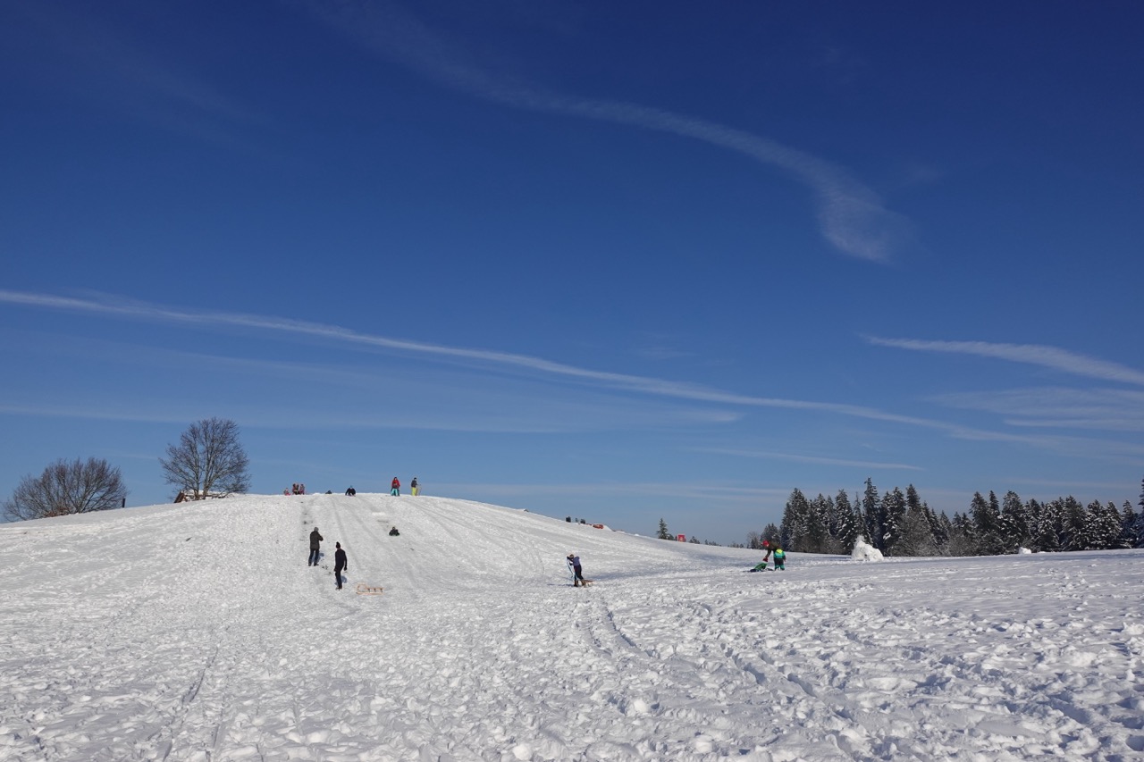 Groß (DSC03615)