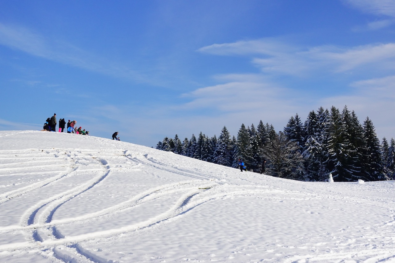 Groß (DSC03743)