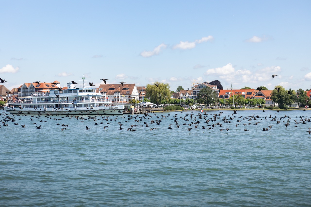 Groß (IMG_0533)