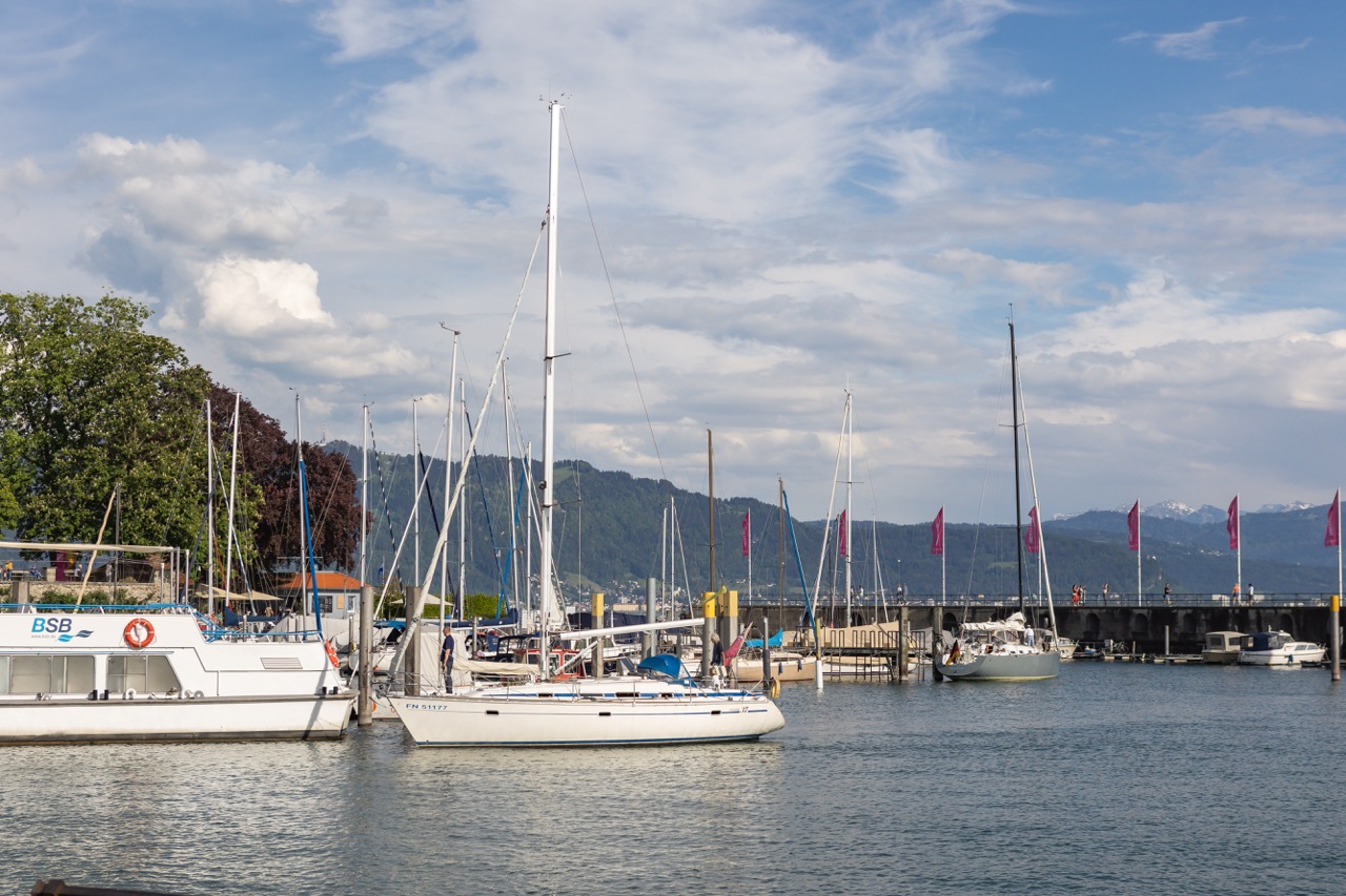 Groß (IMG_1511)